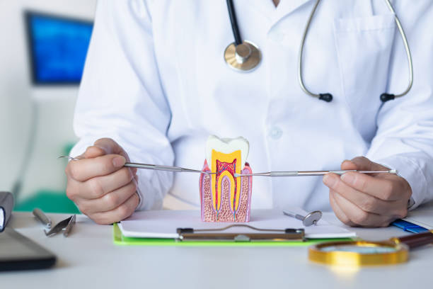 Best Holiday Emergency Dentist in Brenham, TX